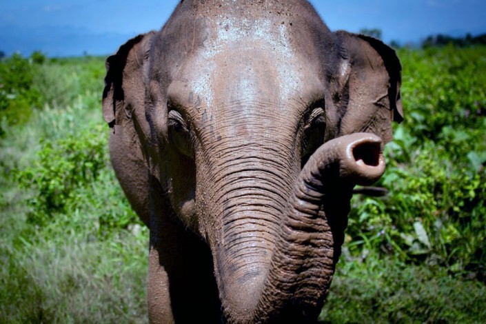 Sri Lanka